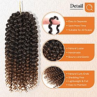 Lady Miranda Brown Color Afro Kinky Curly Braiding Hair Extensions Jerry Curl Crochet Hair 3X Braid Hair Mixed Dark Brown To Lig