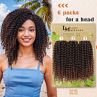 Lady Miranda Brown Color Afro Kinky Curly Braiding Hair Extensions Jerry Curl Crochet Hair 3X Braid Hair Mixed Dark Brown To Lig