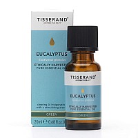 Tisserand Eucalyptus Essential Oil 0.68 oz - Ethically Sourced