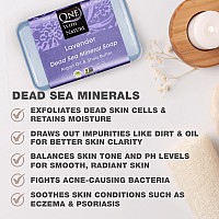 One With Nature Dead Sea Salt Lavender Soap 7Oz Bars 3Pack Dead Sea Salt Contains Magnesium Sulfur 21 Essential Minerals