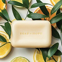 Soapbox Bar Soap Moisturizing Exfoliating Bar Soap With Shea Butter Olive Oil Citrus Peach Rose Scented Natural Ecof