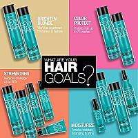 SexyHair Moisturizing Shampoo 33.8 Oz - SLS/SLES Free