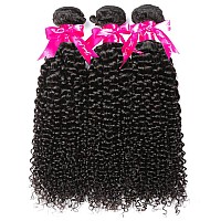 Hermosa 10A Curly Human Hair 3 Bundles 12 14 16 Inch 100 Unprocessed Brazilian Curly Hair Bundles Soft Remy Hair