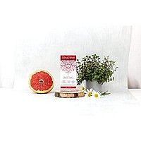 Tints of Nature Red Semi-Permanent Henna Cream Hair Colour Natural and Organic - Single Pack