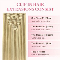 Goo Goo Clip In Hair Extensions Real Human Hair Remy Human Hair Extensions Clip Ins For Women Natural Human Hair 18Inch 120G