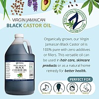 Zatural Black Castor Oil100 Pure Tropic Jamaican Black Castor Oil 1 Gallon