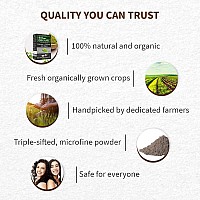 Indus Valley Bio Organic Natural Henna Hair Color For Grey Hairs Soft Black 100Gm