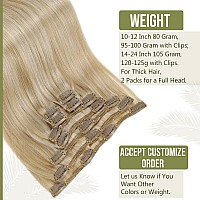 Full Shine Clip in Hair Extensions Real Human Hair Caramel Blonde Mix Light Blonde Remy Clip in Extensions Double Weft Brazilian Clip in Human Hair 120 Grams 7 Pcs 20 Inch