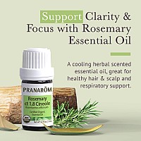 Pranarom Usda Certified Organic Rosemary Cineole Essential Oil 5Ml 100 Pure Undiluted Therapeutic Grade From Tunisia For Aro