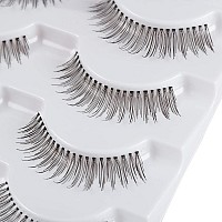 Alice Lashes 110 Natural Hand Knotted False Eyelashes 5 Pairs Multipack