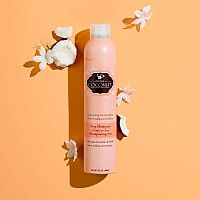 Hask Coconut Nourishing Dry Shampoo Kits For All Hair Types Aluminum Free No Sulfates Parabens Phthalates Gluten Or Artific