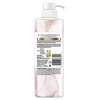 Pantene Shampoo Sulfate Paraben And Dye Free Prov Blends Soothing Rose Water 179 Fl Oz