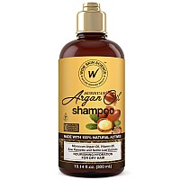 Wow Skin Science Moroccan Argan Oil Shampoo Sulfate Free Moisturizing Shampoo For Dry Damaged Hair For Women Men