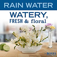 Mrs Meyers Clean Day Liquid Hand Soap Refill Rainwater 33 Oz