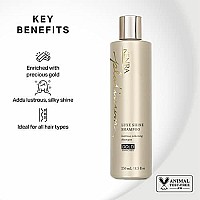 Kenra Platinum Luxe Shine Shampoo | Gold Enriched | Lustrous Silkening Shampoo | Transforms Dull And Lifeless Strands To Glamorous And Full-Bodied Hair | All Hair Types | 8.5 fl. Oz