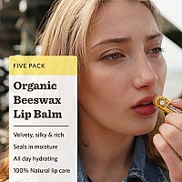 Moon Valley Organics Beeswax Lip Balm For Moisturizing Lips And Cuticles (Vanilla | Lime | Honey | Blackberry | Mint Vanilla, 5-Pack)