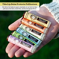 Moon Valley Organics Beeswax Lip Balm For Moisturizing Lips And Cuticles (Vanilla | Lime | Honey | Blackberry | Mint Vanilla, 5-Pack)