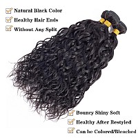 12A Water Wave Bundles With Closure Human Hair 12 14 1610 100 Unprocessed Virgin Brazilian Human Hair Wave 3 Bundles With 4