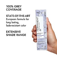 Ion 6Vv Dark Plum Blonde Permanent Creme Hair Color Paraphenylenediamine Free Longlasting Faderesistant Color 100 Gray Co