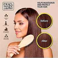 Dead Sea Collection Softening Shampoo And Conditioner Set With Pure Argan Oil Hair Products For All Hair Types Set Of 2 Bott