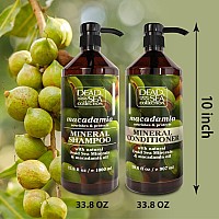 Dead Sea Collection Softening Shampoo And Conditioner Set With Pure Macadamia Oil Hair Products For All Hair Types Set Of 2