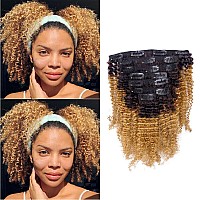 Caliee Kinky Curly Clip In Hair Extensions For Black Women Real Remy Human Hair Clip In Extensions 3C 4A Natural Clip Insombre