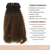 Caliee Curly Hair Extension Clip In Human Hair For Black Womenkinky Curly Clip Ins 3C 4A Natural Black Clip In Hair Dark Brown