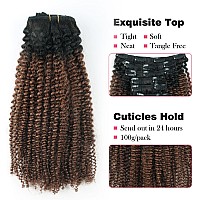 Sassina Afro Curly Clip In Human Hair Extension For Black Women 4B 4C Afro Kinky Curly Clip Ins Double Weft Remy Human Hair Natu