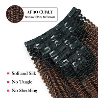 Sassina Afro Curly Clip In Human Hair Extension For Black Women 4B 4C Afro Kinky Curly Clip Ins Double Weft Remy Human Hair Natu