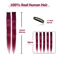 Winsky Burgundy Clip In Colored Hair Extensions 100 Real Human Hair Straight Highlights Colored Clip On Christmas Hairpieces