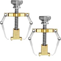 2 Pieces Ingrown Toenail Lifter Ingrown Toenail Tool Toe Clamp Stainless Steel Foot Care Tool for Paronychia (Gold)