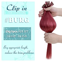 Runature Clip In Hair Extensions Bunrgundy Human Hair Clip In Extensions 20 In Clip In Hair Extensions Real Human Hair Burgundy