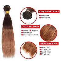 Ombre Straight Hair Bundles With Closure 10A Brazilian Virgin Remy Human Hair 2 Tone T430 Ombre Straight Human Hair Bundles Wit