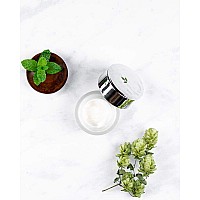 Villa Floriani Mint Night Cream, 1.69 Oz, White