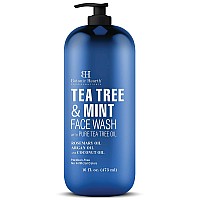 Botanic Hearth Tea Tree Face Wash with Mint - Acne Fighting, Therapeutic, Hydrating Liquid Face Soap with Pure Tea Tree Oil - for Women and Men, Paraben Free - 16 fl oz