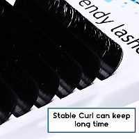 Volume Lash Extensions Easy Fan Volume Lashes .05 .07 8-14mm C/D Curl Mixed Self Fanning 4D 5D 6D~10D Easy Fan Cluster Rapid Automatic Blooming Lash Extensions by WENDY LASHES(0.05-C, 8-14mm)