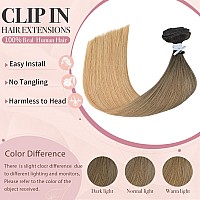 Huayi Clip In Hair Extensions Ombre Darkest Brown Mixed With Chestnut Brown And Ash Brown 120G 14In Full Head Silky Straight 100