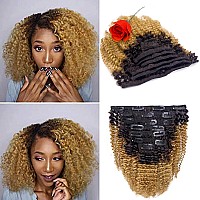 Afro Kinky Clip Ins Human Curly Hair Clip In Extensions 3C 4A 4B Natural Afro Kinkys Curly Hair Extensions Clip In For Black Wom