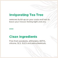 Soapbox Tea Tree Shampoo Sulfate Free Paraben Free Silicone Free Color Safe And Vegan Hair Shampoo 338 Ounces