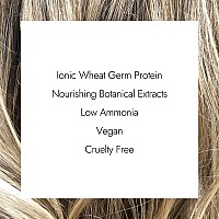 Ion 9A Very Light Ash Blonde Permanent Creme Hair Color 9A Very Light Ash Blonde