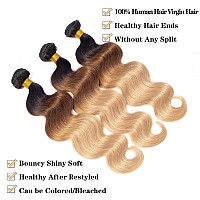 12A Grade Ombre Bundles Human Hair T1B302722 24 26 Ombre Body Wave 3 Bundles Human Hair 100 Unprocessed Virgin Brazilia