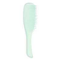 Tangle Teezer The Fine & Fragile Wet Detangler Hairbrush Soft Flex Teeth for Less Breakage Ideal for Thinning Hair, color-Treated & Sensitive Scalps comfort Handle Jade Lagoon