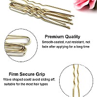 200Pcs U Shaped Hair Pins Blackbrownblondesilver With Cute Case Hairpins For Buns Premium Bobby Pins For Kids Girls And Wo