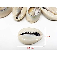 Crispy Collection Tomorrow Sea Shell Cutted Hair Beads Cowrie Dreadlocks Braid Bead Decoration 2Packs Shb8