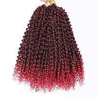 Dorsanee Passion Twist Hair Water Wave Crochet Braids for Passion Twist Crochet Hair Passion Twist Braiding Hair Hair Extensions (6Packs, 14Inch, Tbug#)