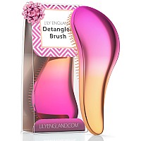 Detangling Brush. Detangler Hairbrush for Curly, Thick, Natural, Straight, Fine, Wet or Dry Hair for Women, Kids and Toddlers by Lily England (Pink / Orange)