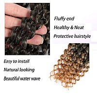 8 Packs Passion Twist Hair 14 Inch Passion Twist Crochet Hair For Black Women Water Wave Crochet Braiding Hair Extensions (14 inch, 1B/27)