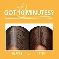 One 'n Only Argan Oil Fast 10 Hair Color Kit, HL-100