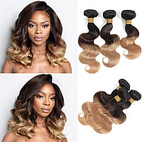 Kapelli Hair 10A Ombre Human Hair Bundles Ombre Brazilian Hair Body Wave T1B427 22 24 26 Ombre Brazilian Human Hair Vi