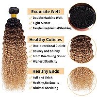 12A Ombre Bundles Human Hair T1B302722 24 26 Ombre Curly 3 Bundles Human Hair 100 Unprocessed Virgin Brazilian Ombre Ki